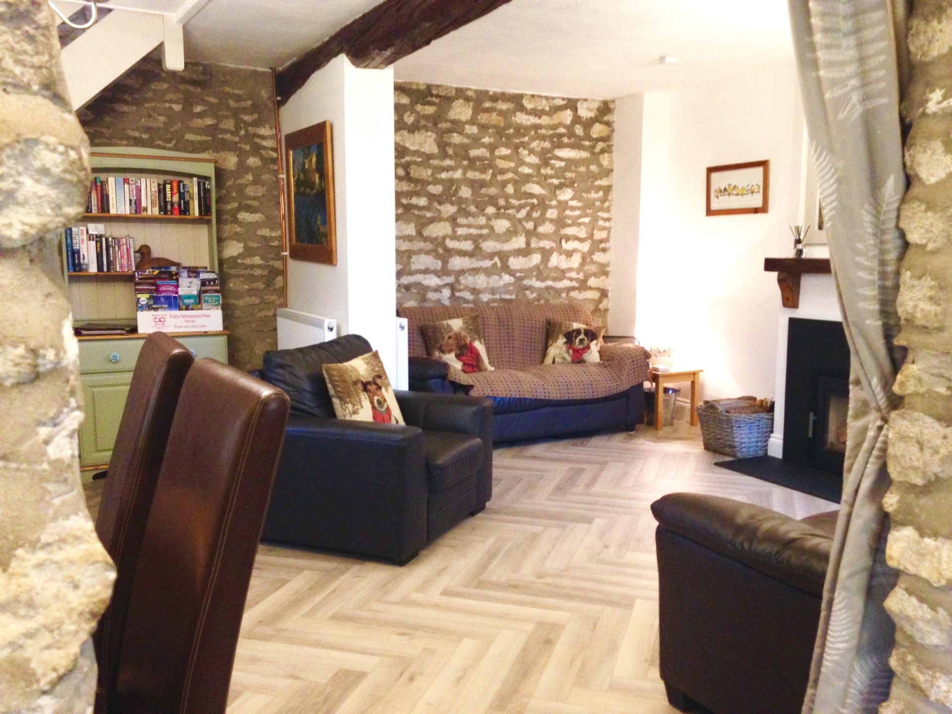 Dog friendly living area