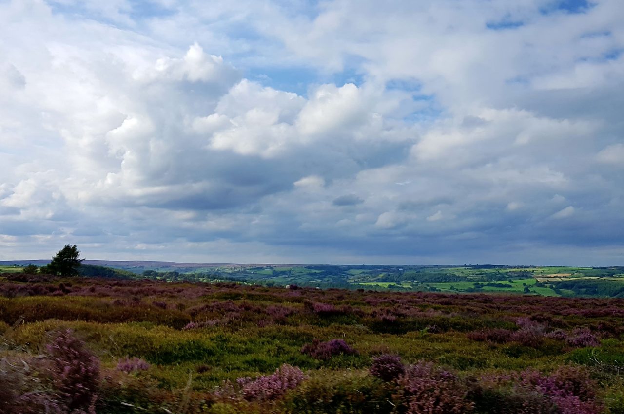 Five things to do in the North York Moors