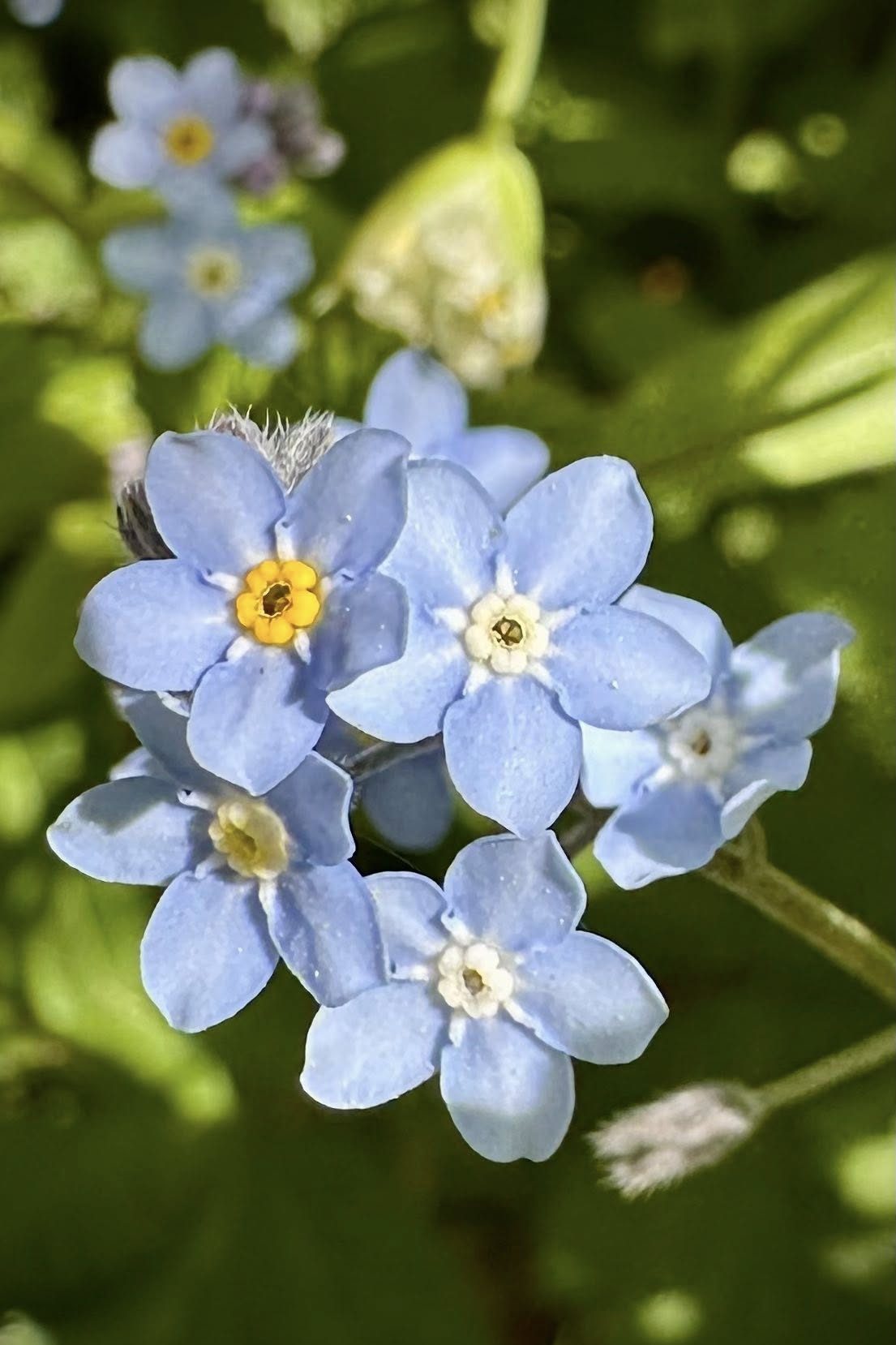 Image gallery image