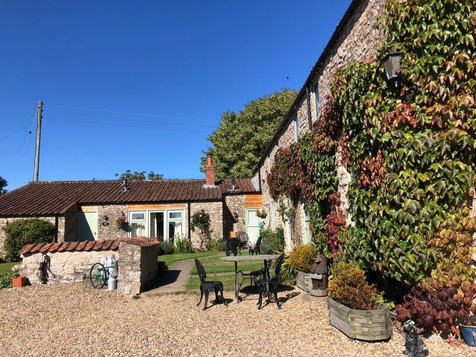 Group shot for Ryedale – autumn